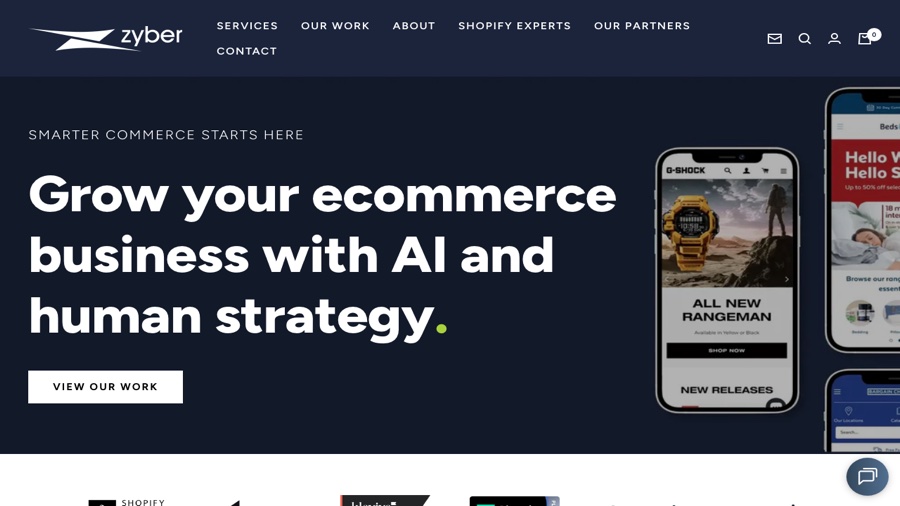 Zyber website screenshot