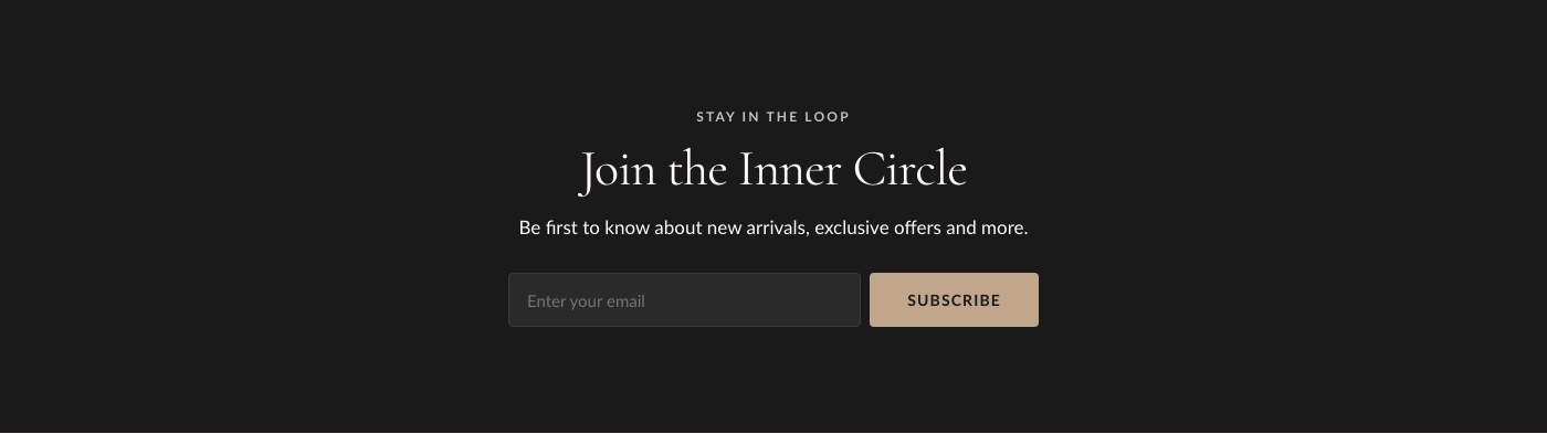 The Newsletter section with a background image and signup form.