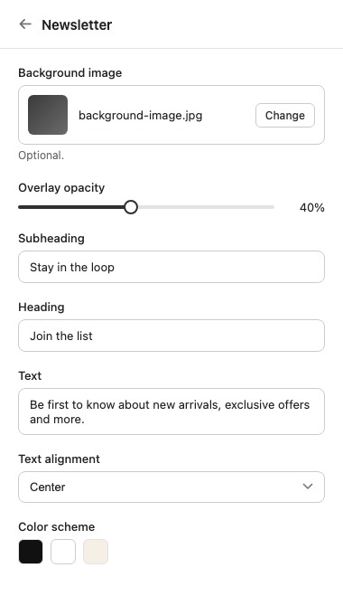 The Newsletter section's settings panel.