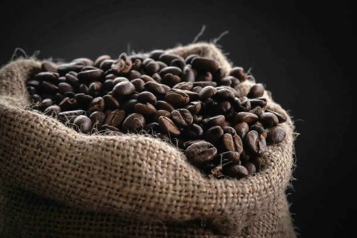 A burlap sack of roasted coffee beans
