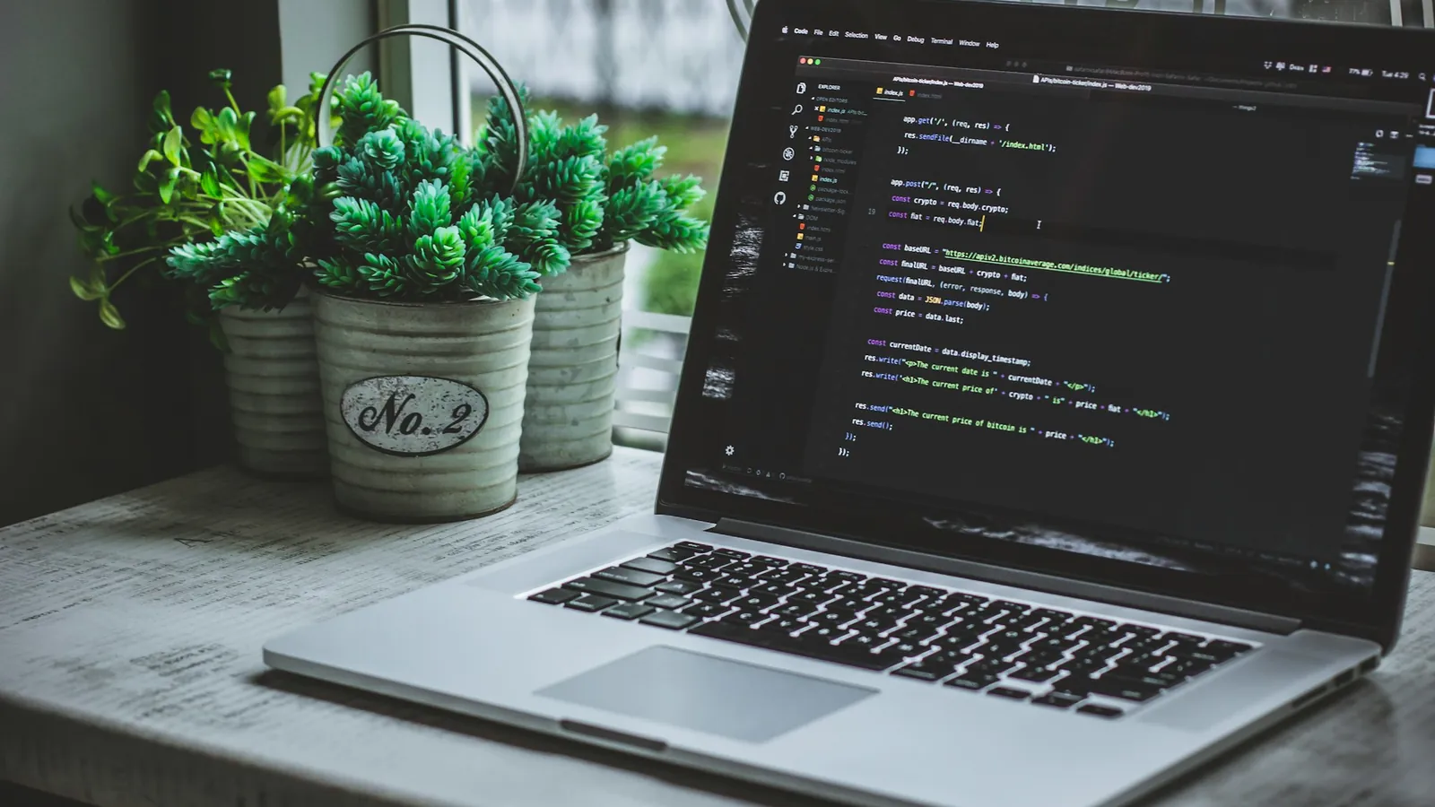 A laptop with code by a window with potted plants