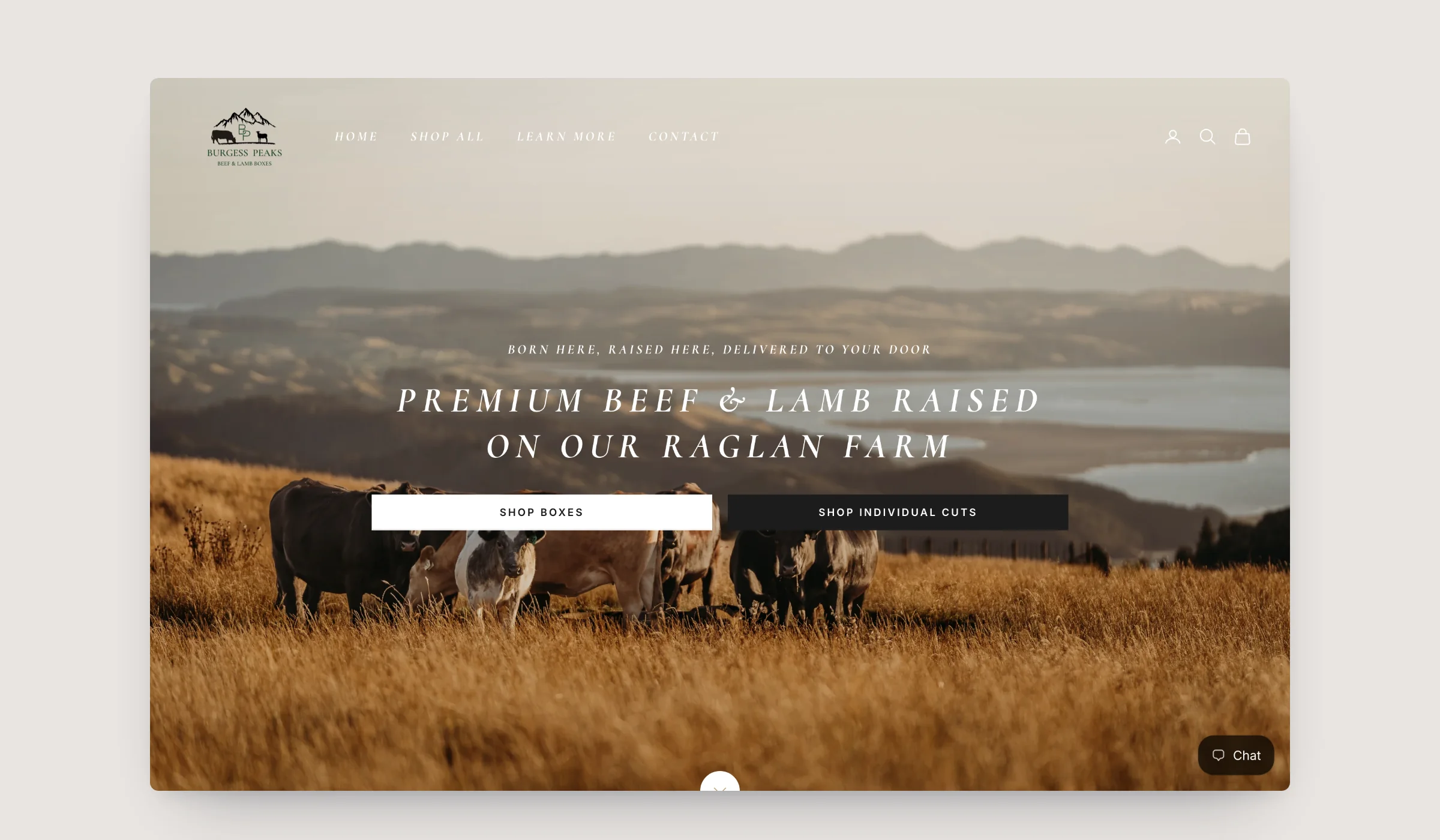 Burgess Peaks homepage on desktop, built on Shopify by Tripster Developers